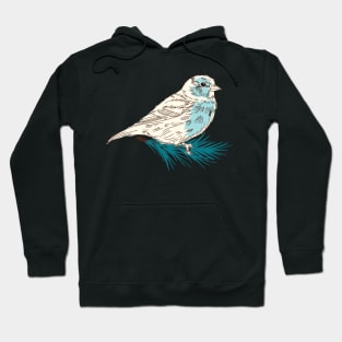 Winter Sparrow Hoodie